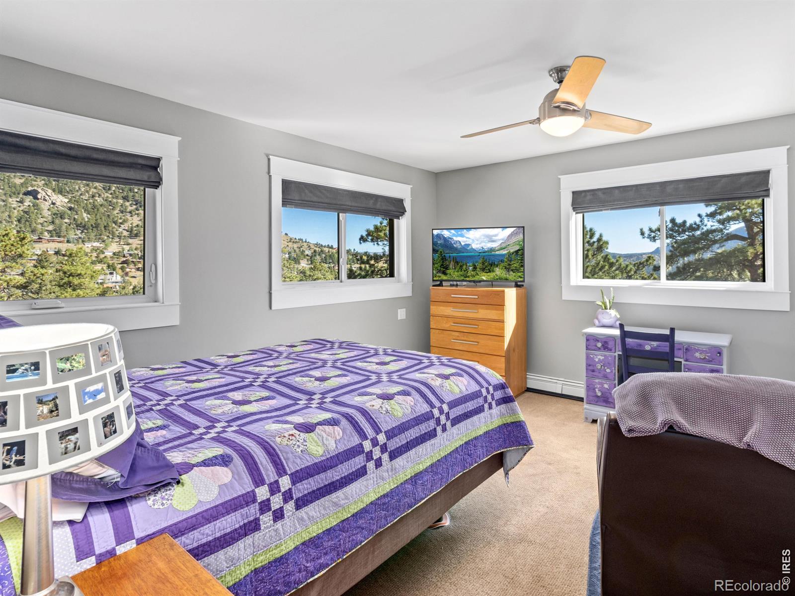 MLS Image #33 for 398  bristlecone court,estes park, Colorado