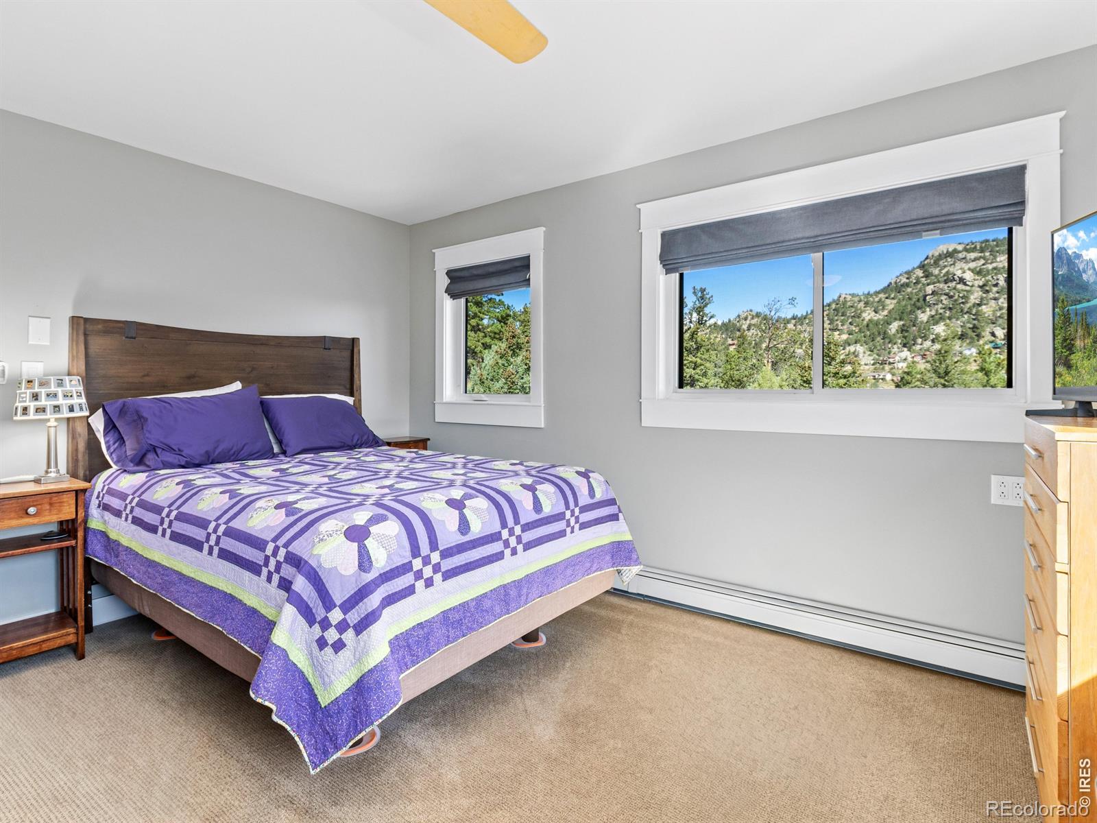 MLS Image #34 for 398  bristlecone court,estes park, Colorado
