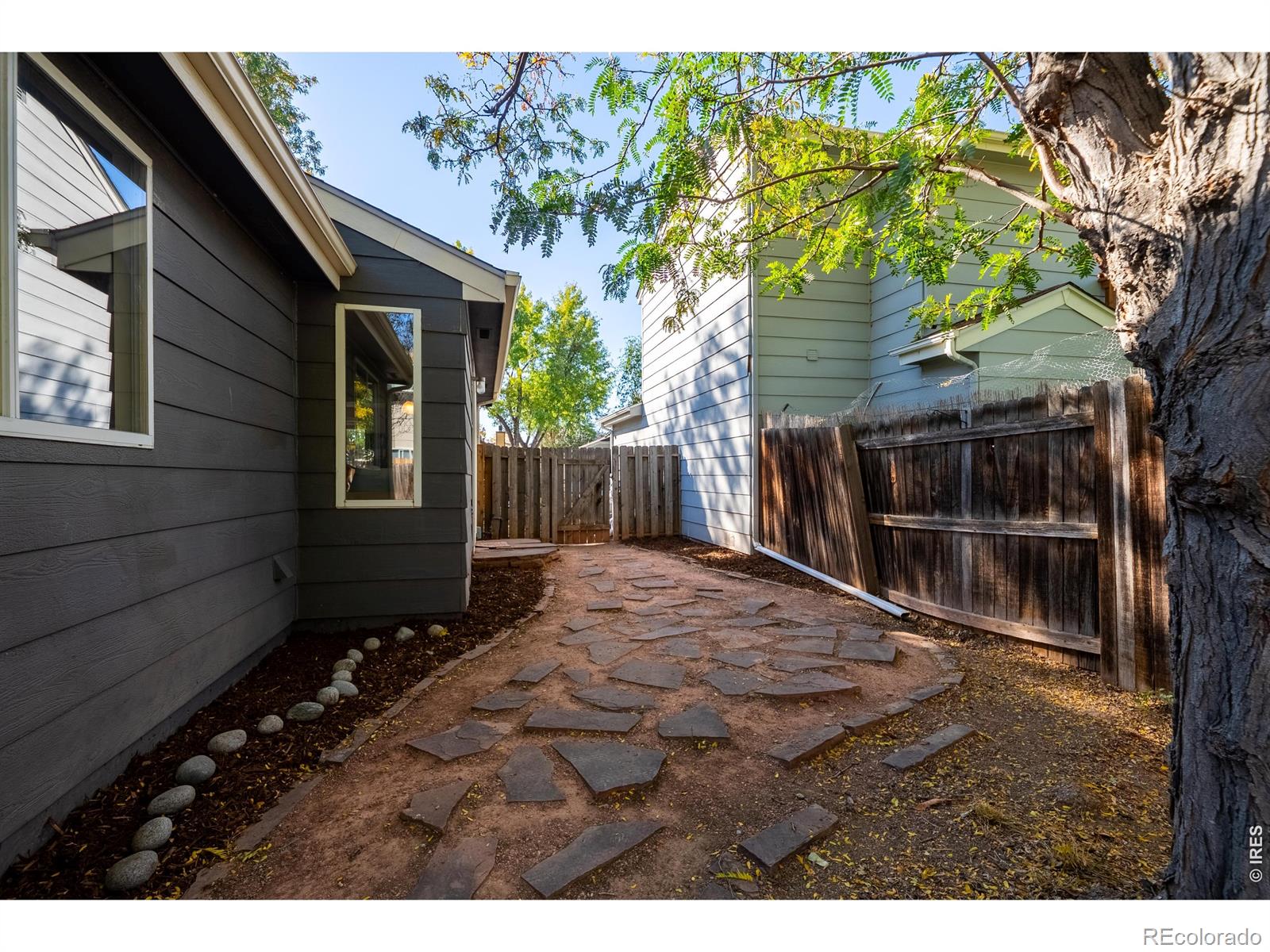 MLS Image #18 for 1612  feltham place,longmont, Colorado