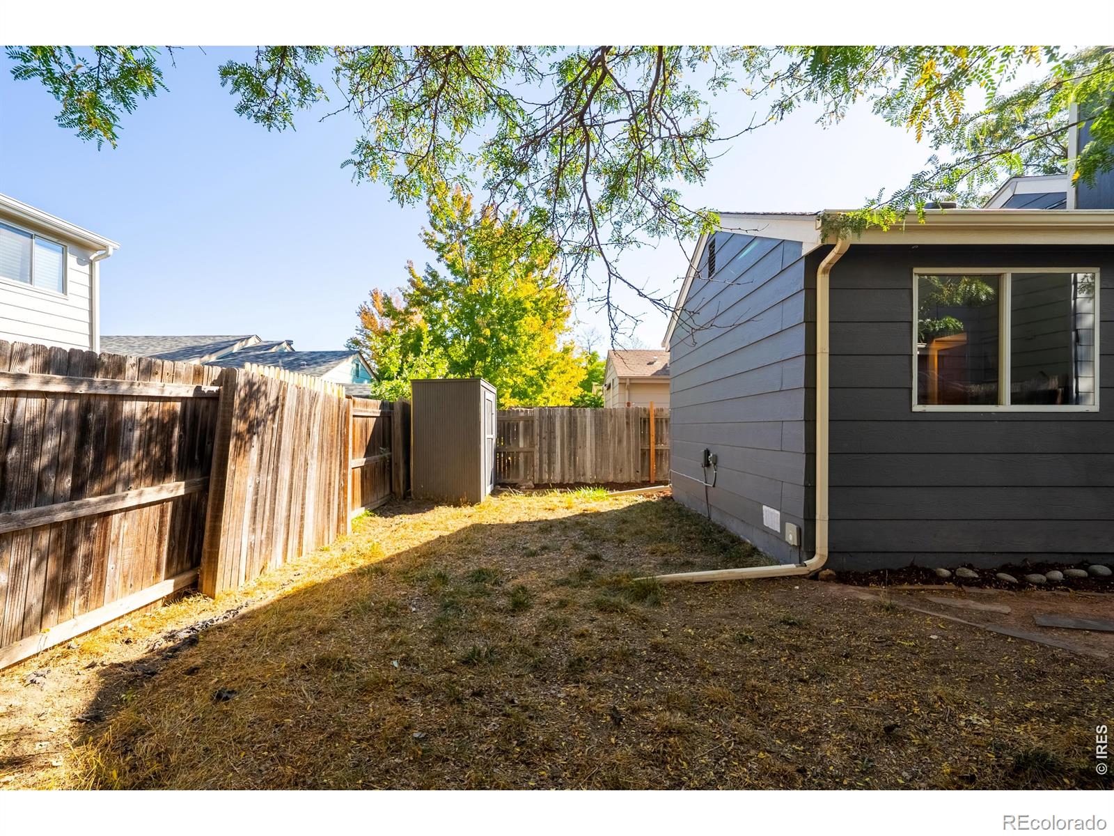 MLS Image #19 for 1612  feltham place,longmont, Colorado
