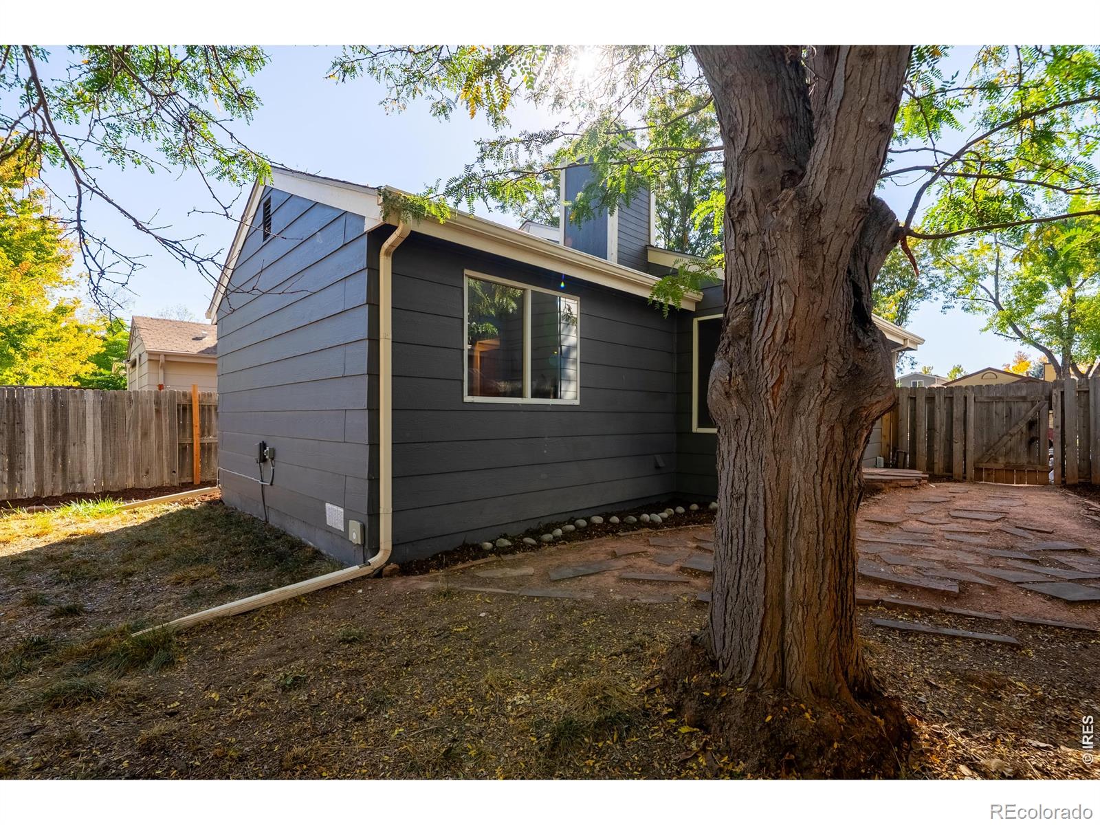 MLS Image #20 for 1612  feltham place,longmont, Colorado