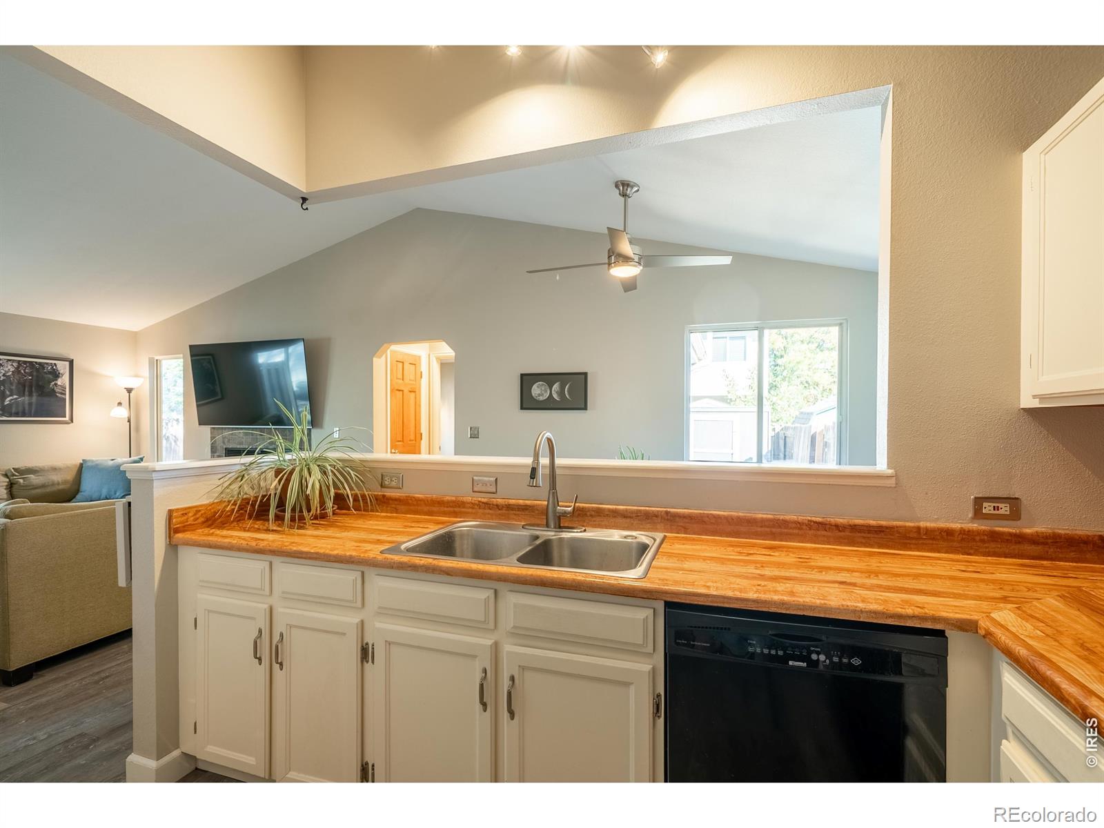 MLS Image #6 for 1612  feltham place,longmont, Colorado