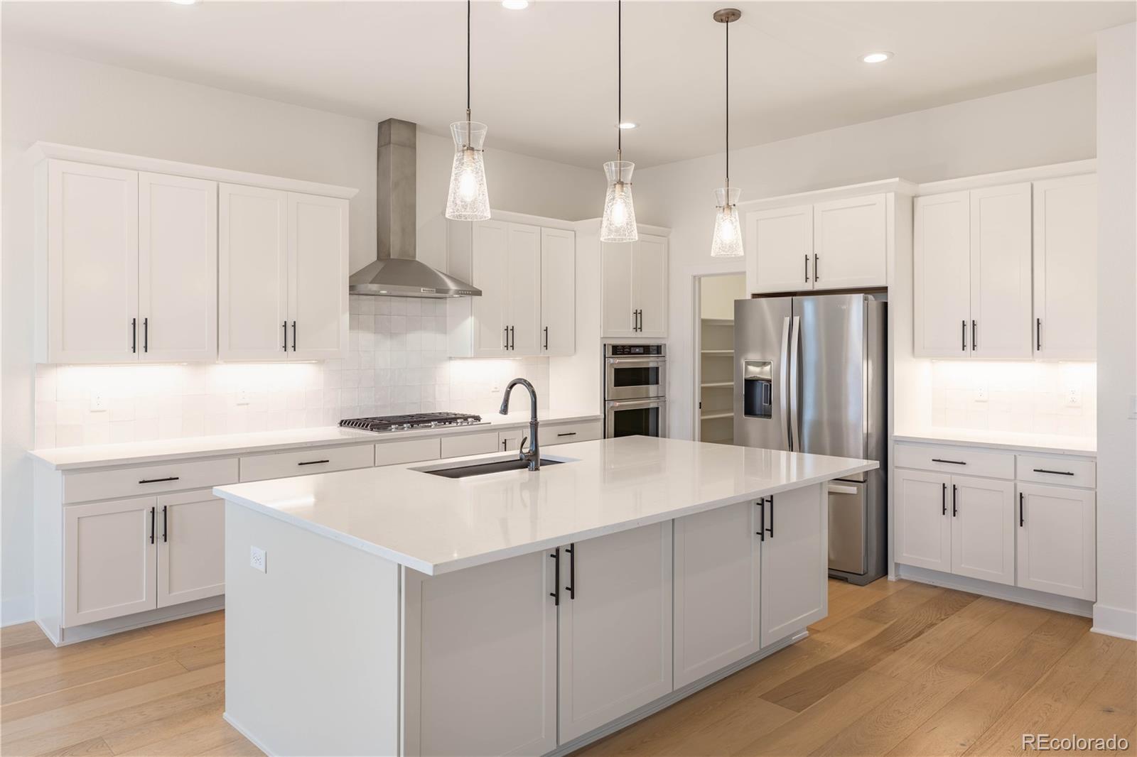 MLS Image #10 for 433  scrubjay circle,castle rock, Colorado