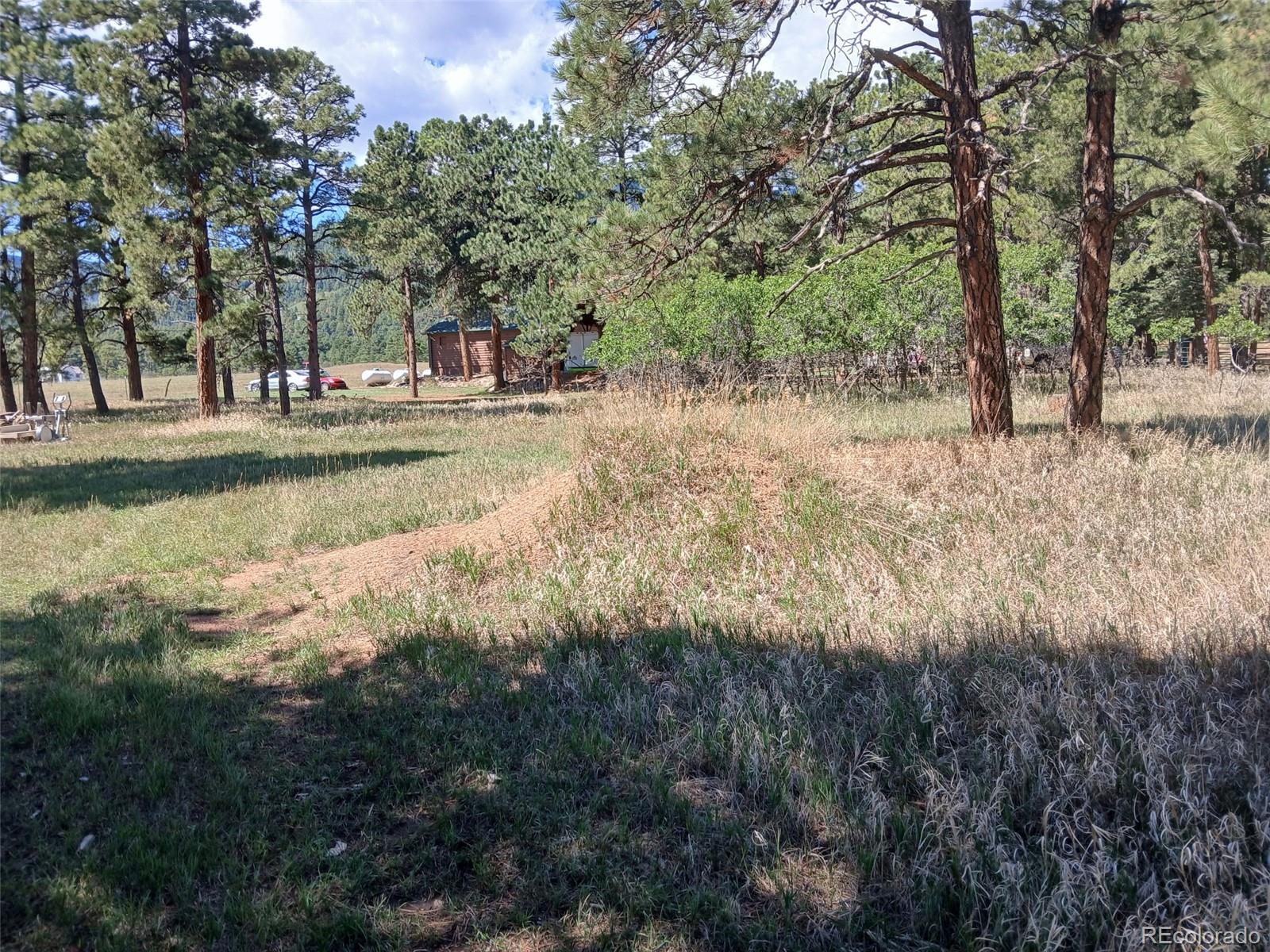 MLS Image #24 for 8152  pine drive,rye, Colorado