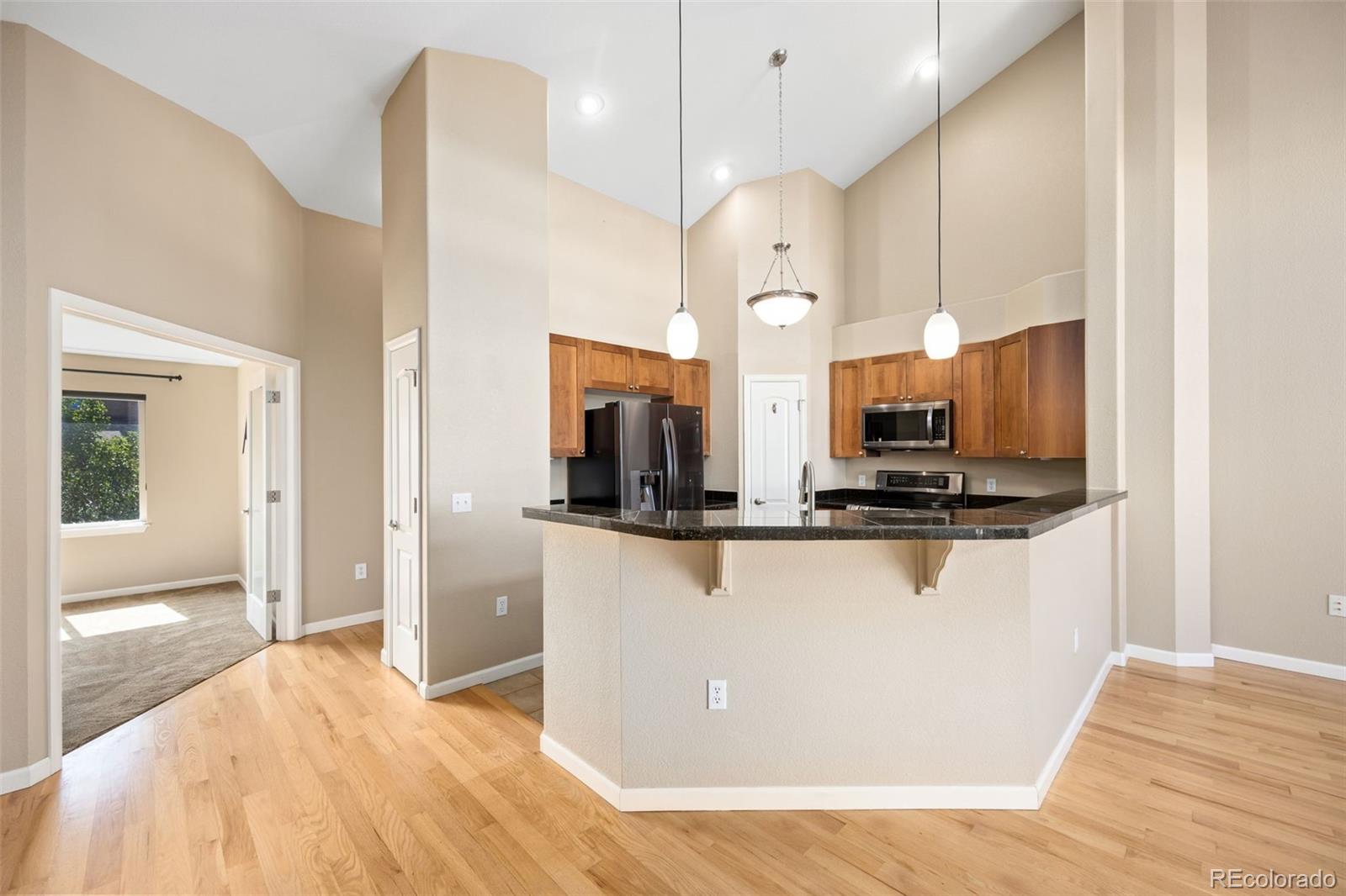 MLS Image #4 for 8519  gold peak drive e,highlands ranch, Colorado