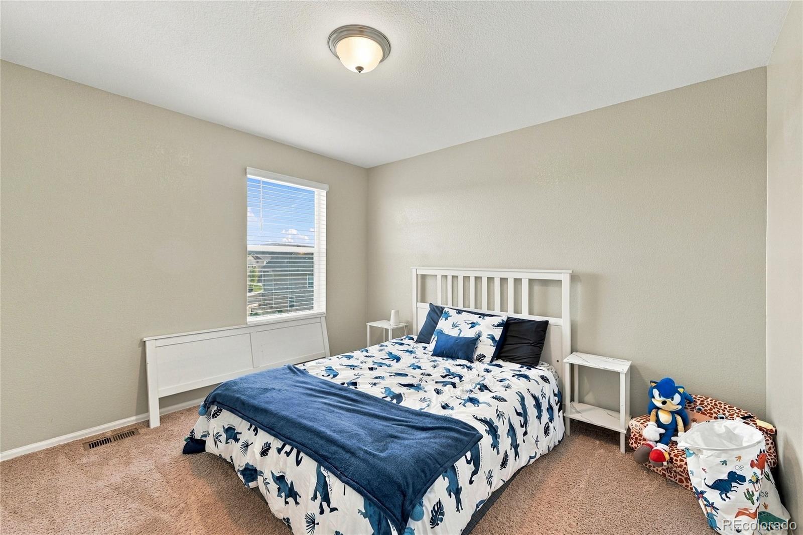 MLS Image #23 for 5958  high timber circle,castle rock, Colorado