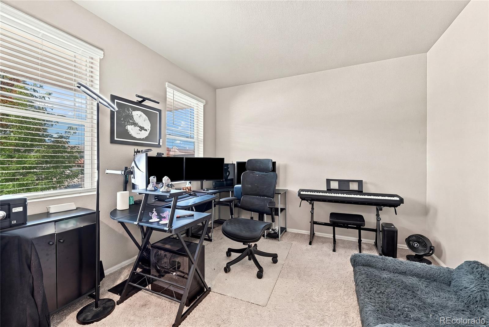 MLS Image #4 for 5958  high timber circle,castle rock, Colorado