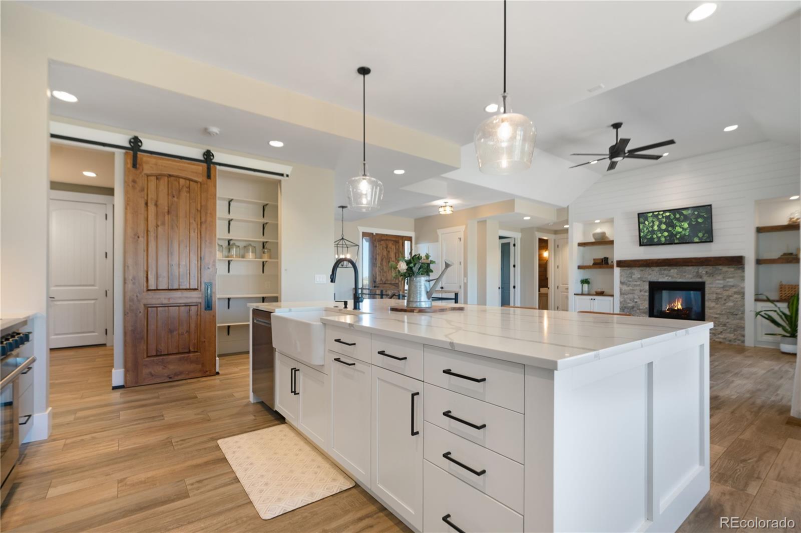 MLS Image #11 for 3008  coal creek street,parker, Colorado