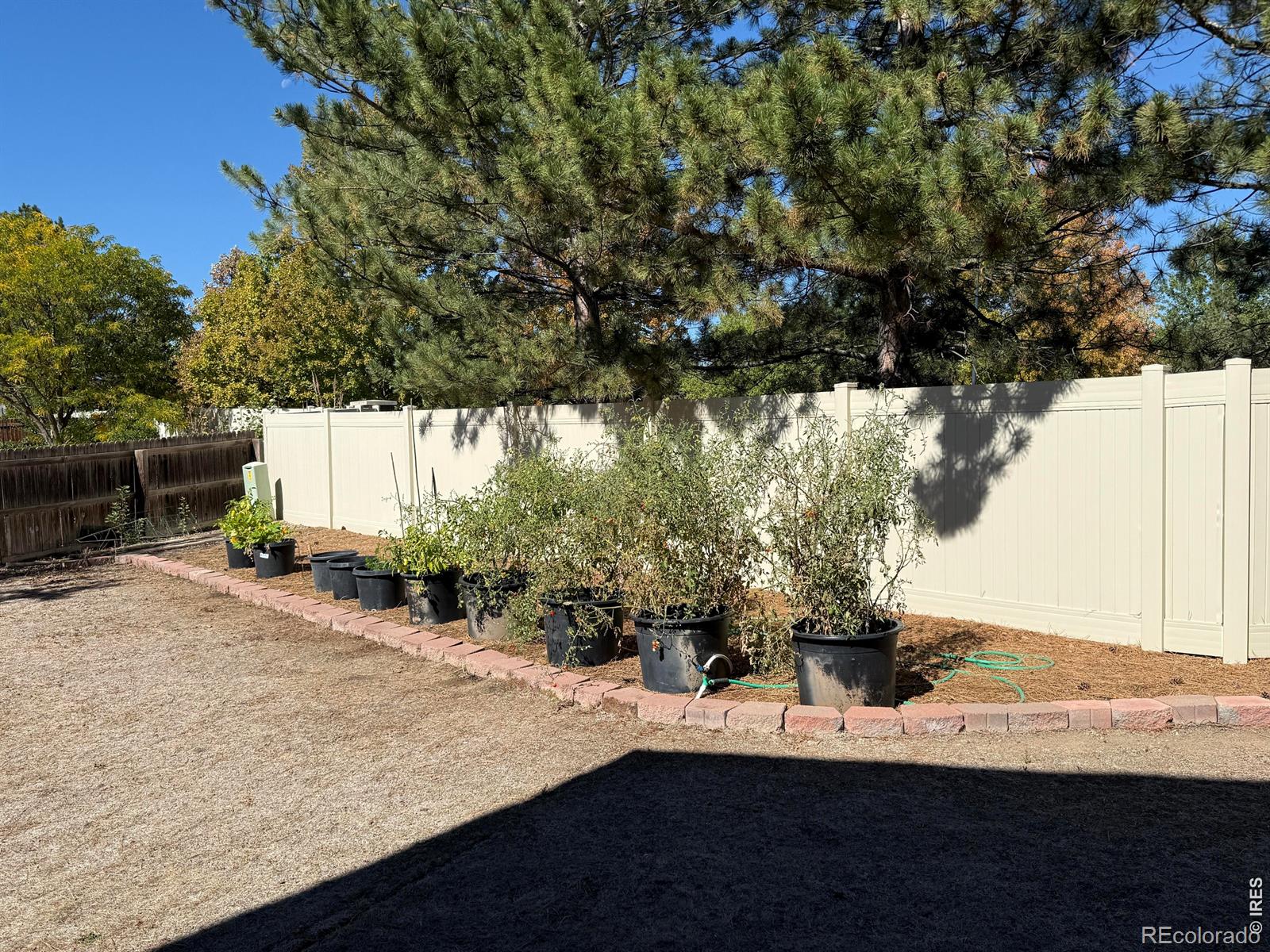 MLS Image #25 for 840  brimble court,erie, Colorado