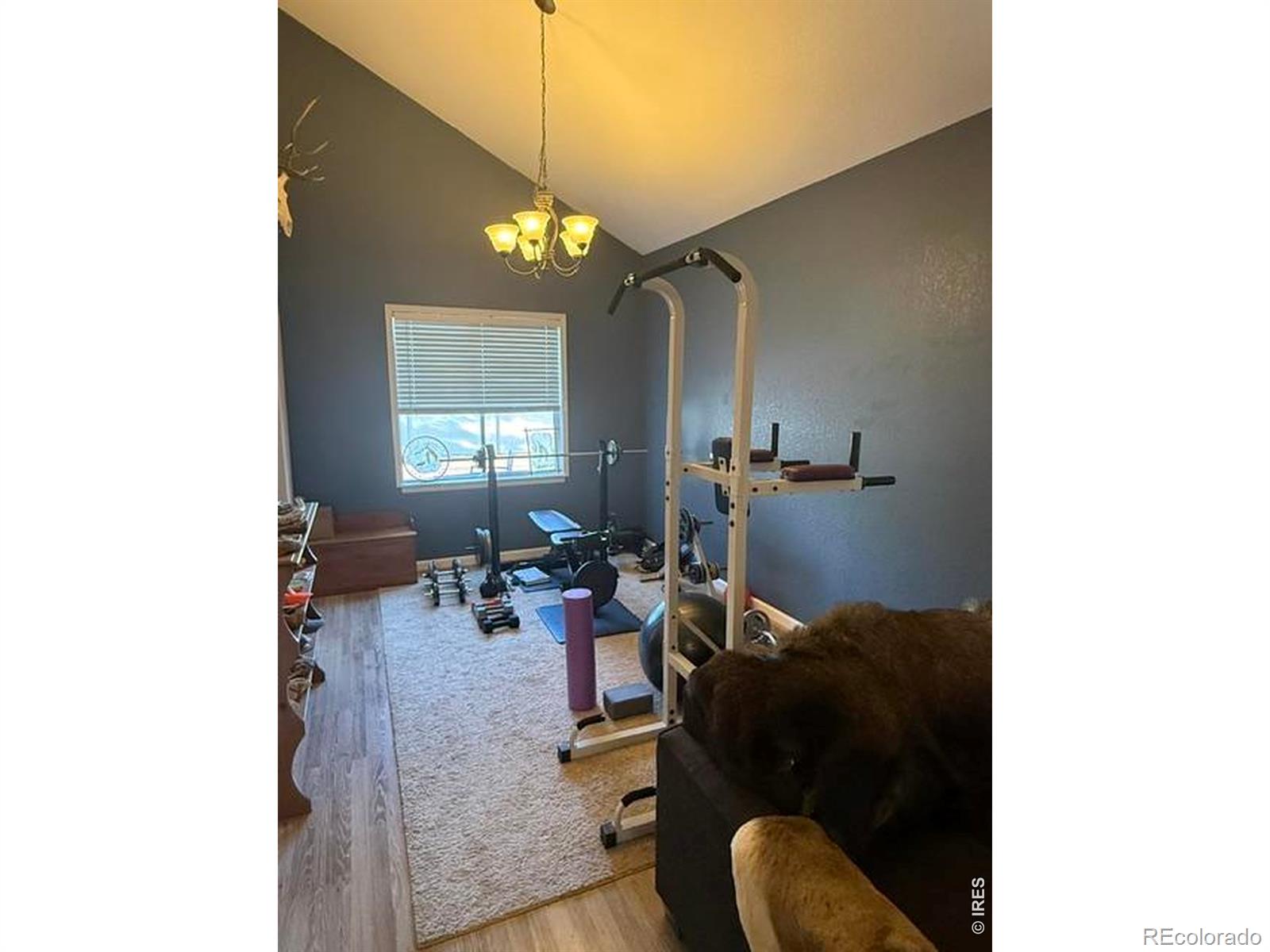MLS Image #7 for 840  brimble court,erie, Colorado