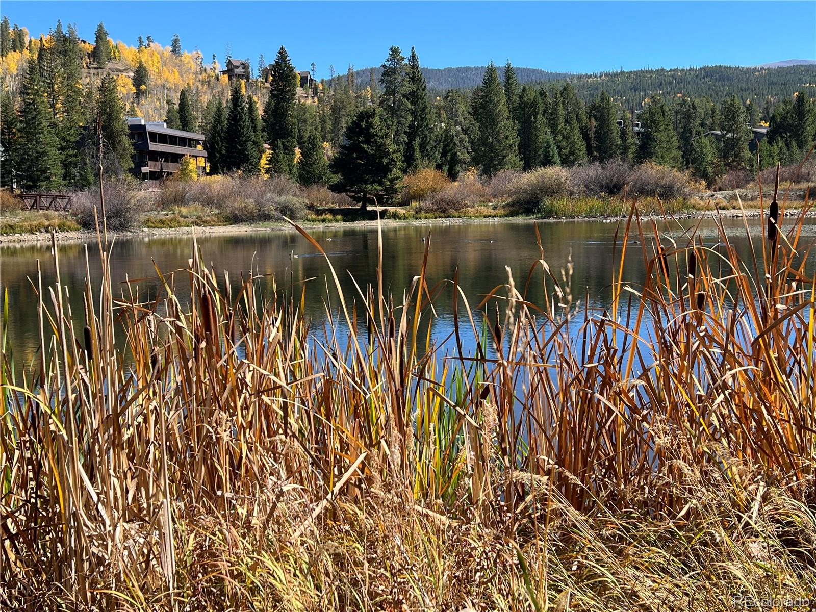 MLS Image #27 for 507  hi country drive,winter park, Colorado