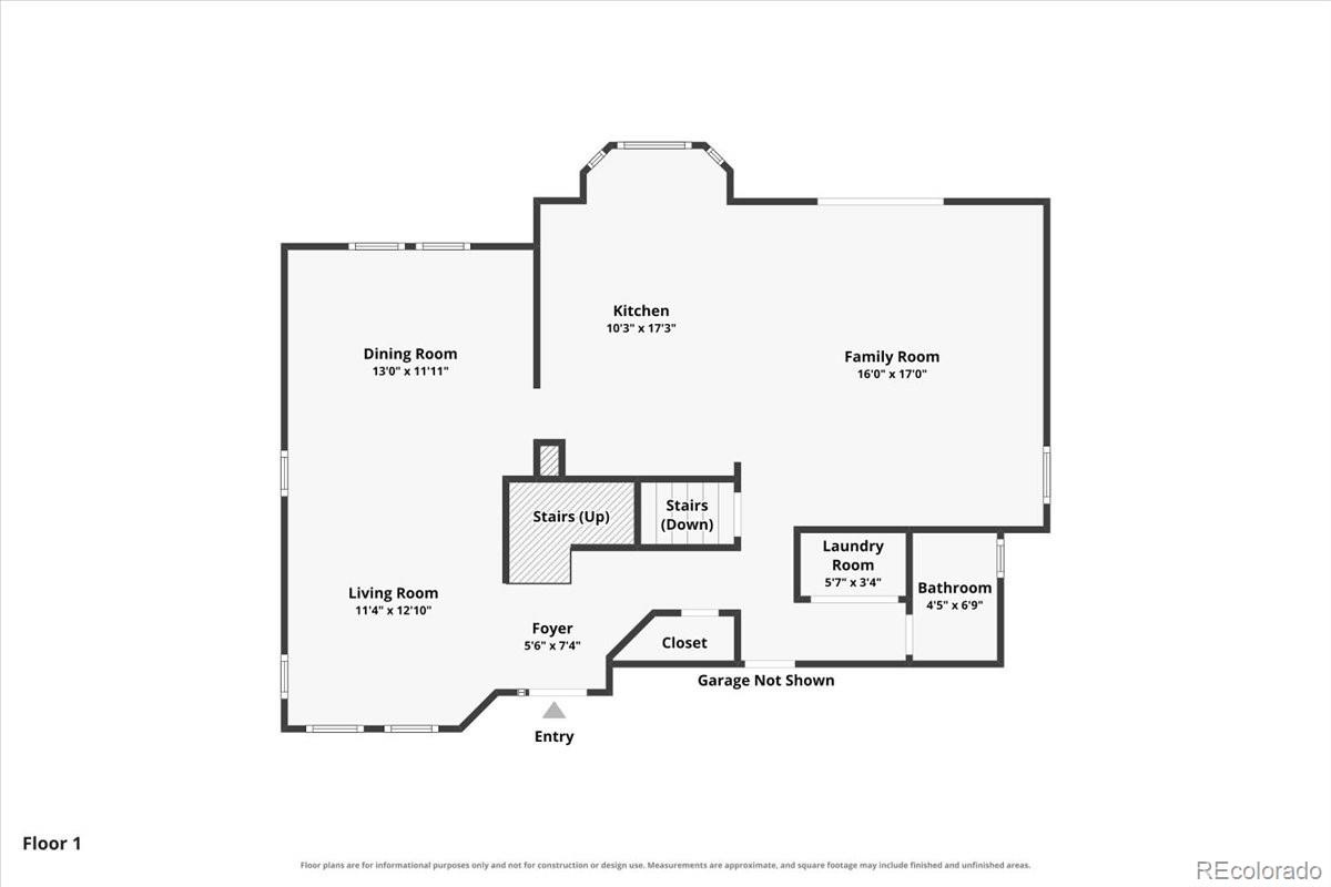 MLS Image #46 for 4337 w deertrail court,castle rock, Colorado