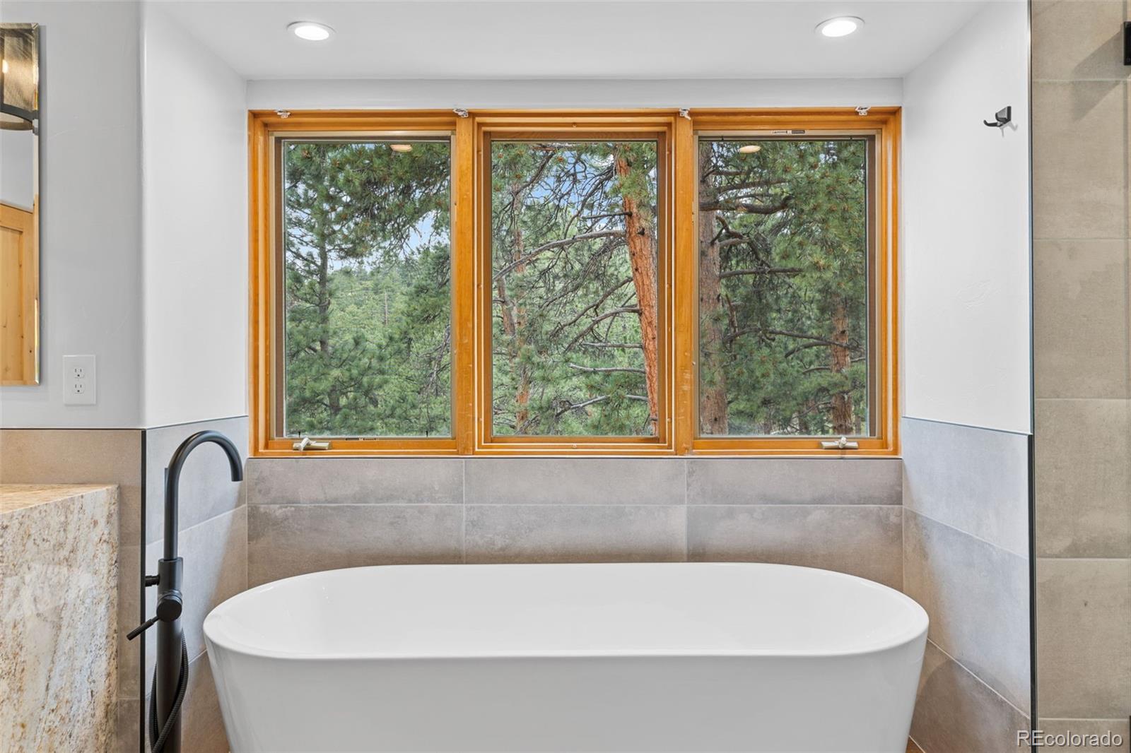 MLS Image #26 for 28776  summit ranch drive,golden, Colorado