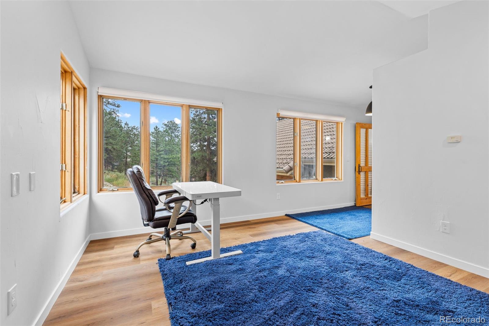 MLS Image #28 for 28776  summit ranch drive,golden, Colorado