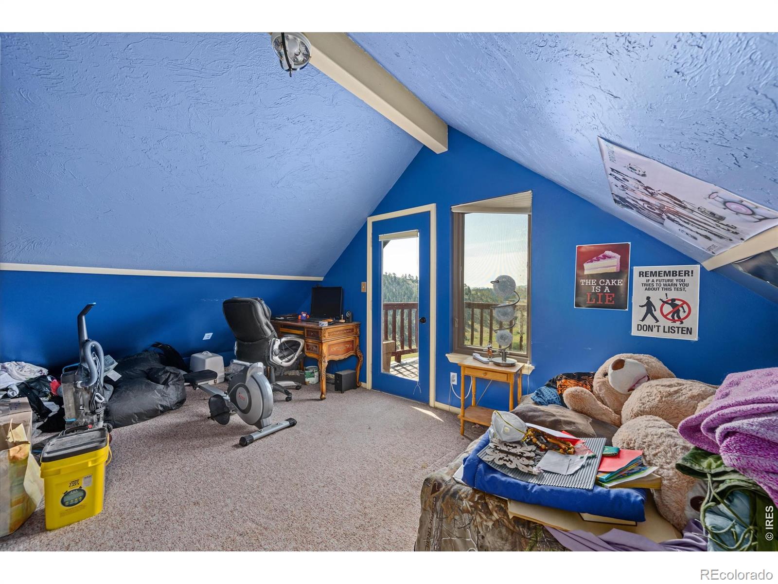 MLS Image #10 for 23 e quandary court,livermore, Colorado