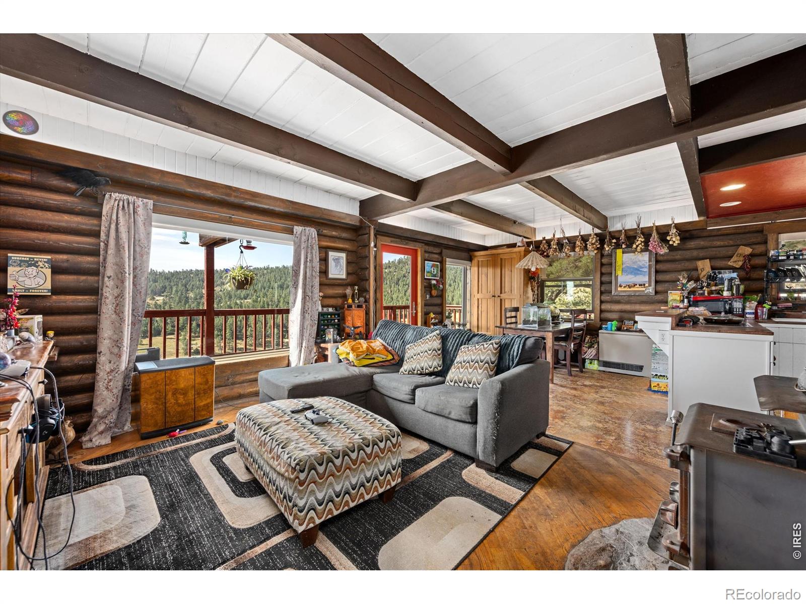 MLS Image #11 for 23 e quandary court,livermore, Colorado