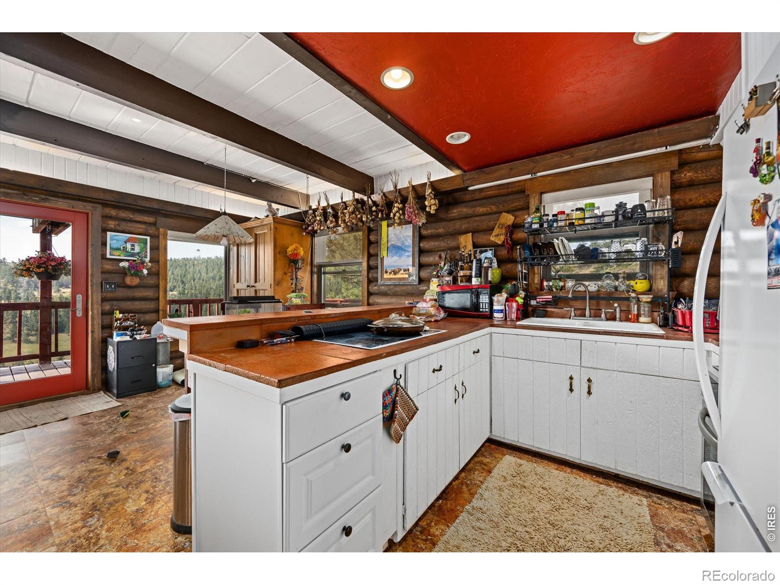 MLS Image #16 for 23 e quandary court,livermore, Colorado