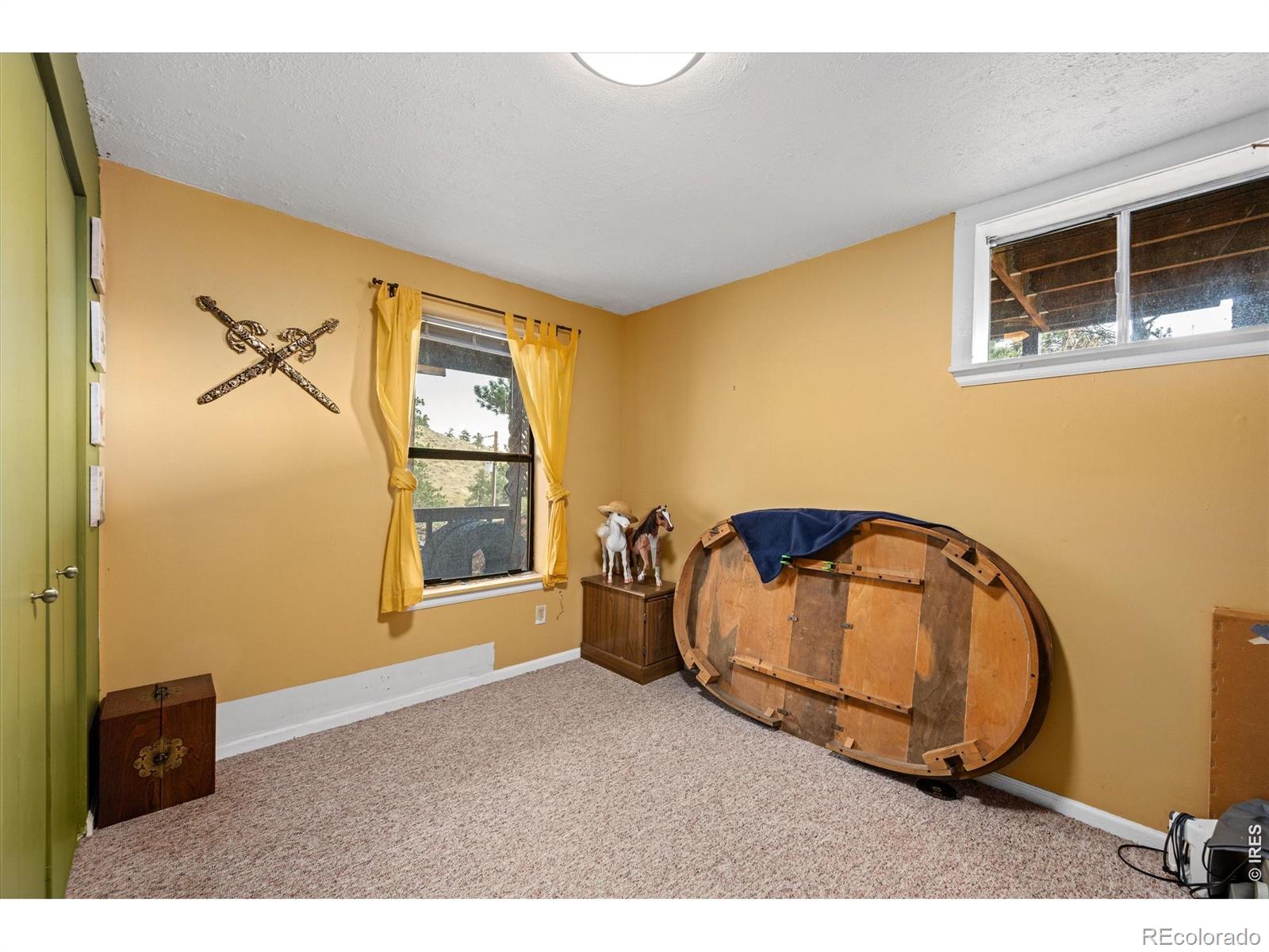 MLS Image #25 for 23 e quandary court,livermore, Colorado