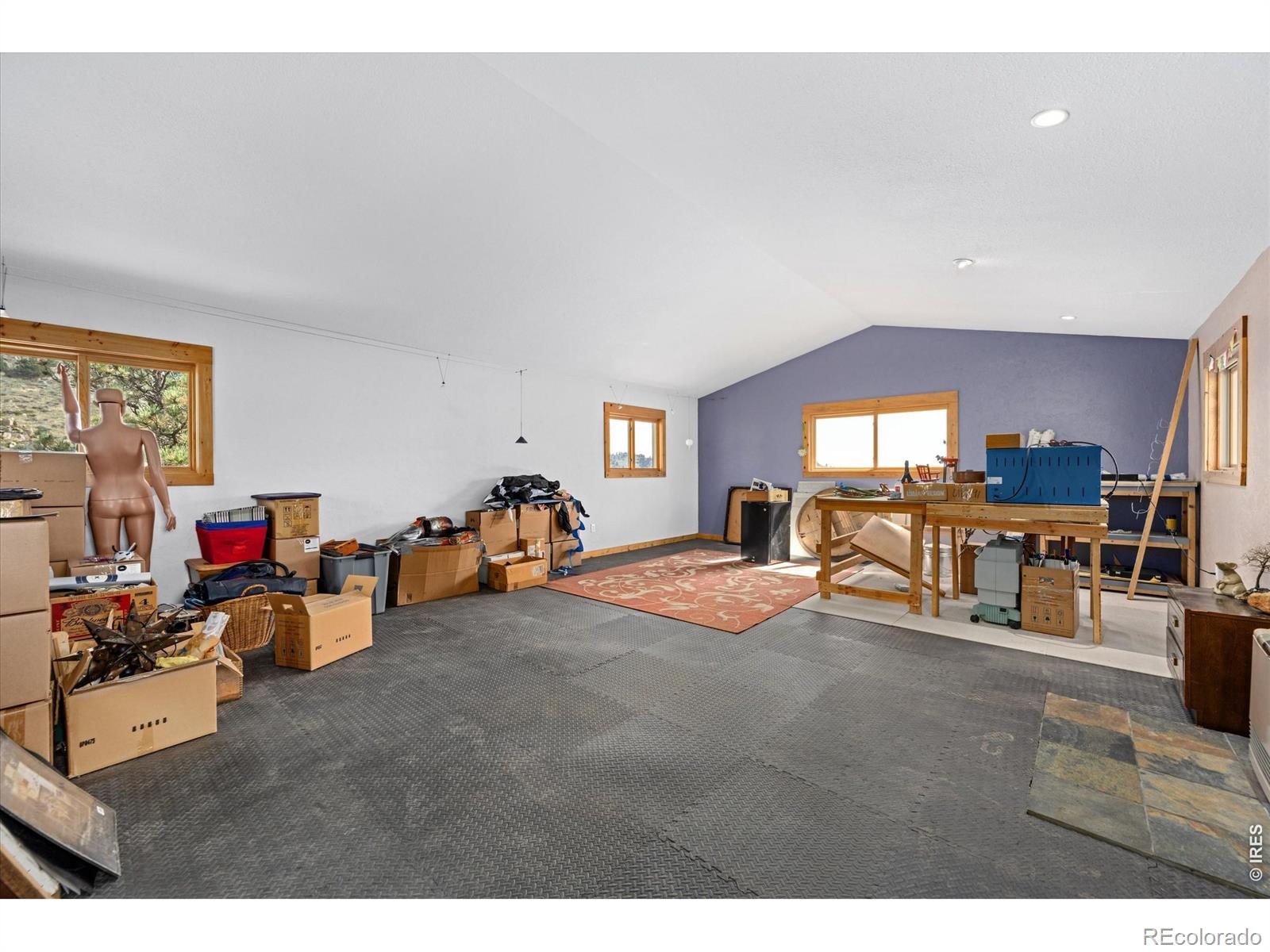 MLS Image #30 for 23 e quandary court,livermore, Colorado
