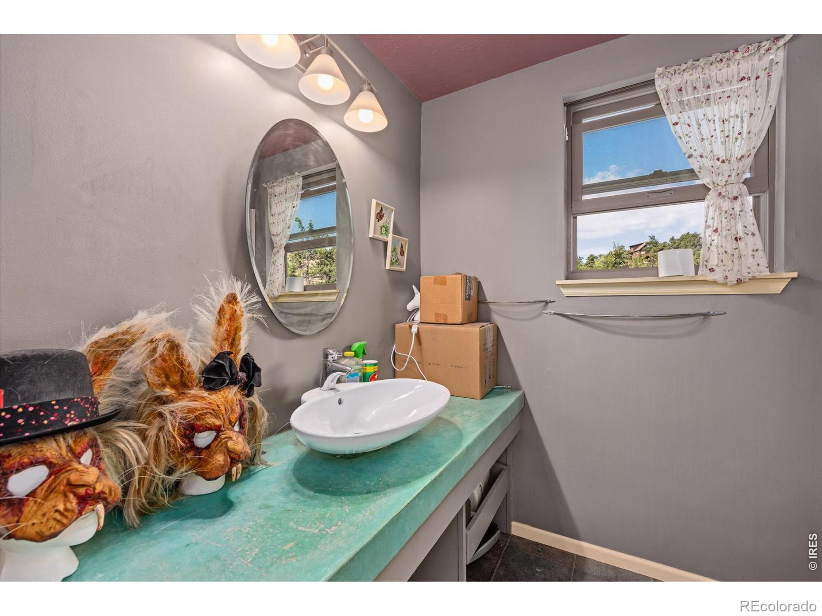 MLS Image #7 for 23 e quandary court,livermore, Colorado