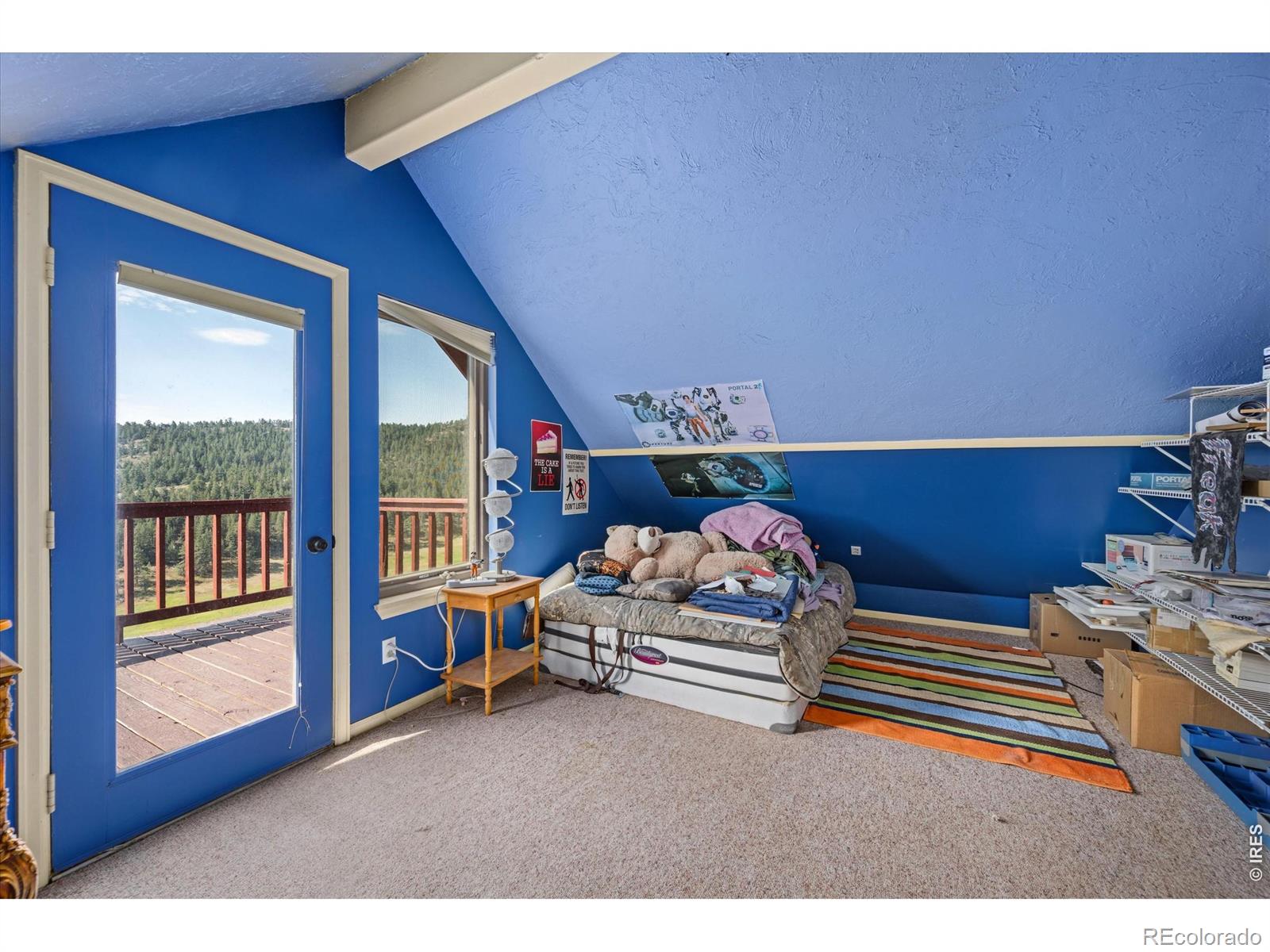 MLS Image #8 for 23 e quandary court,livermore, Colorado
