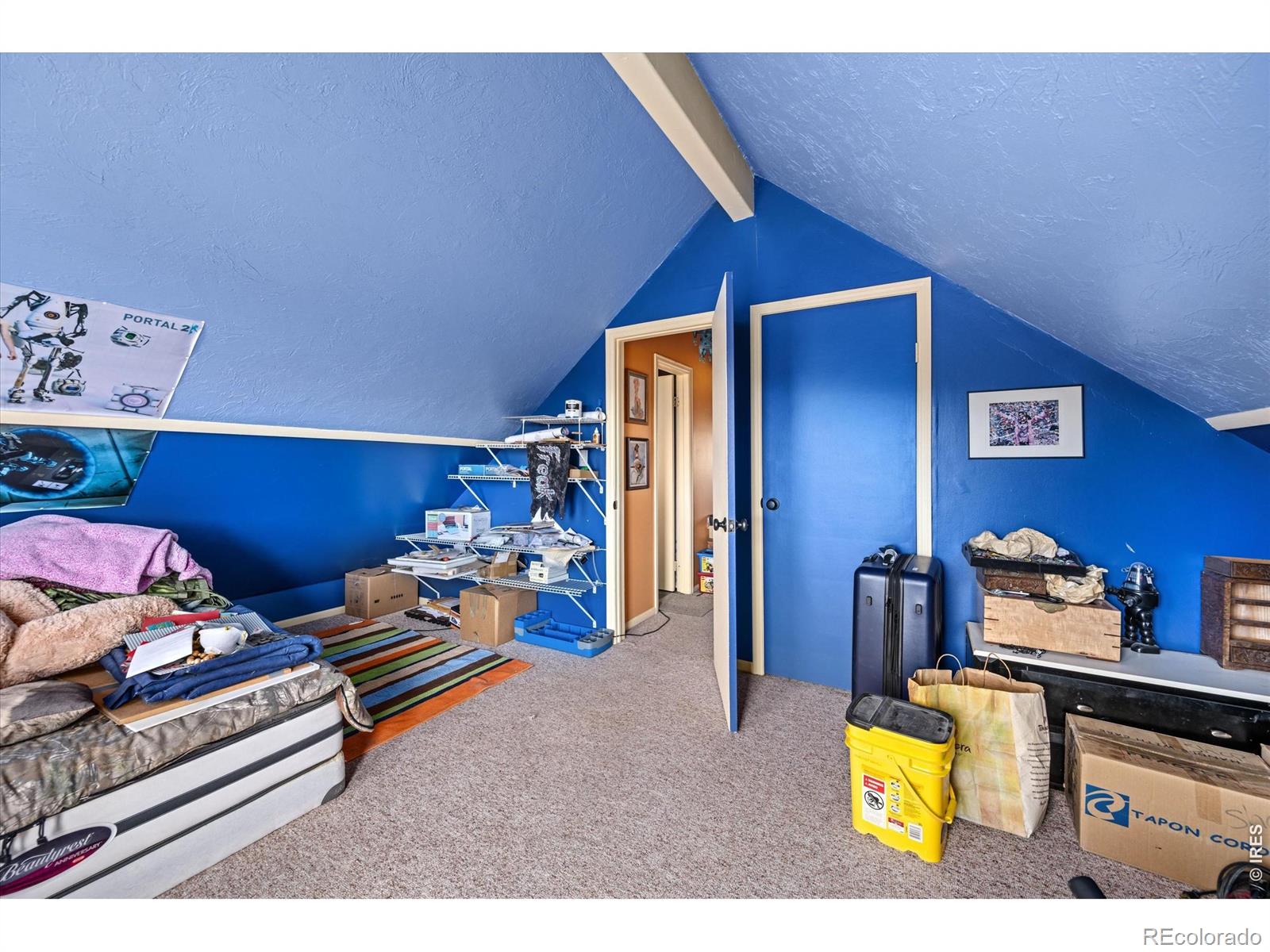 MLS Image #9 for 23 e quandary court,livermore, Colorado