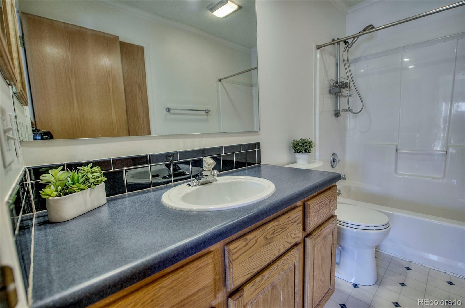 MLS Image #15 for 432  county road 101 ,silverthorne, Colorado