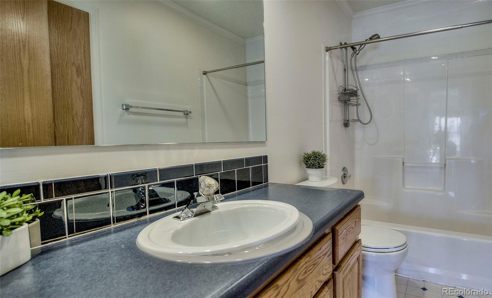 MLS Image #16 for 432  county road 101 ,silverthorne, Colorado