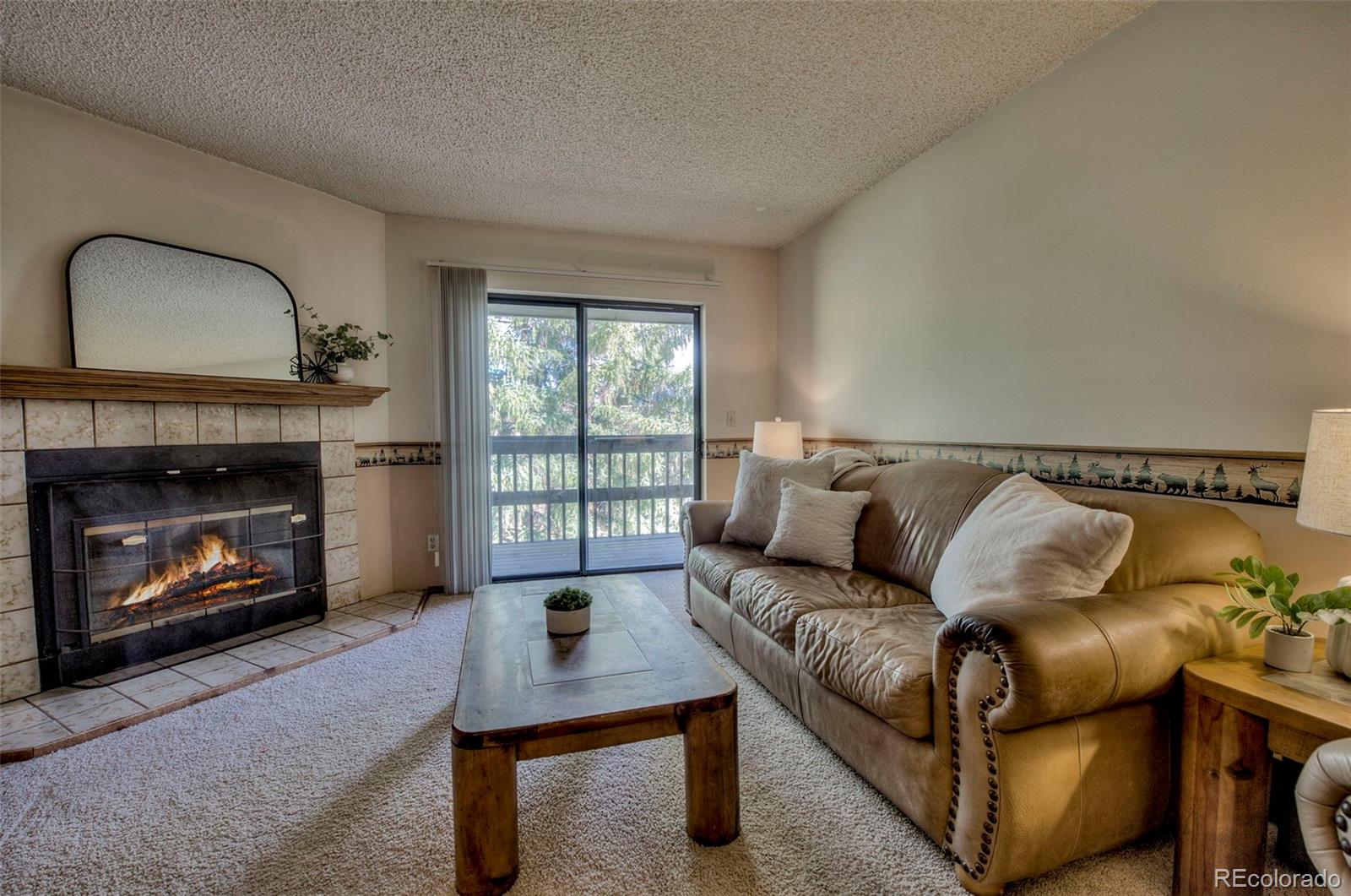 MLS Image #0 for 906  meadow creek drive,frisco, Colorado