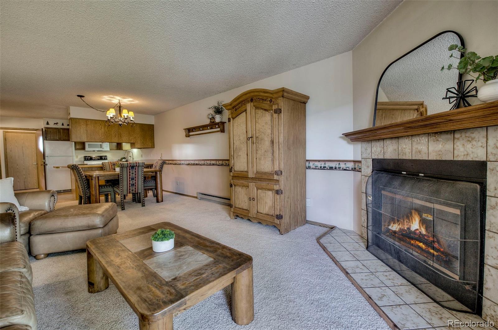 MLS Image #1 for 906  meadow creek drive,frisco, Colorado