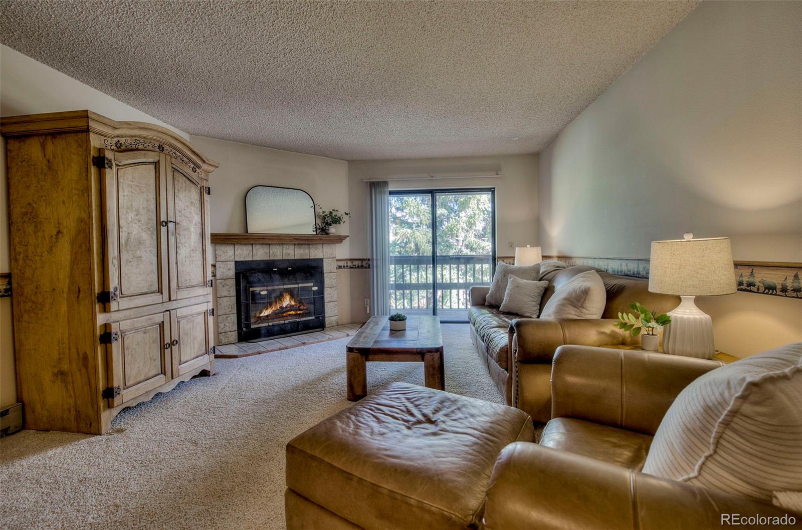 MLS Image #3 for 906  meadow creek drive,frisco, Colorado