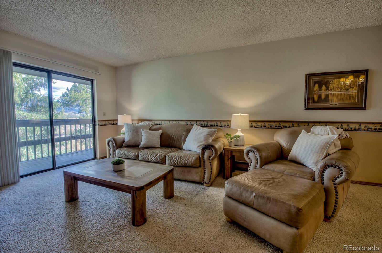 MLS Image #4 for 906  meadow creek drive,frisco, Colorado