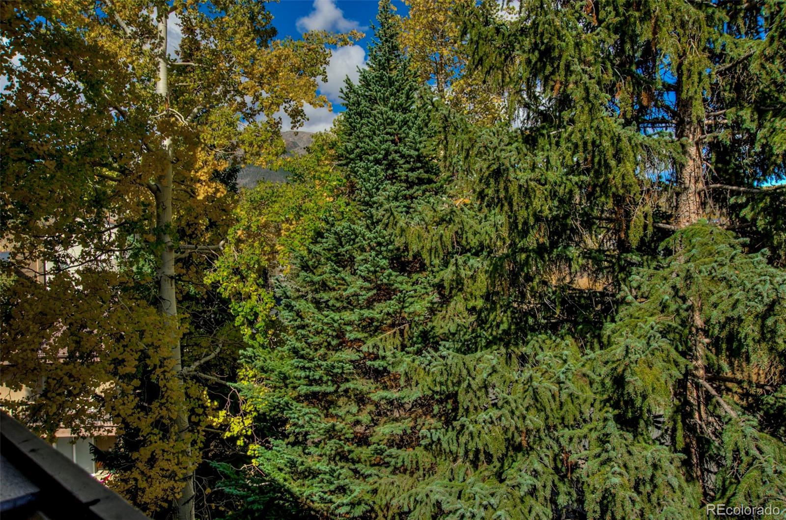 MLS Image #42 for 906  meadow creek drive,frisco, Colorado