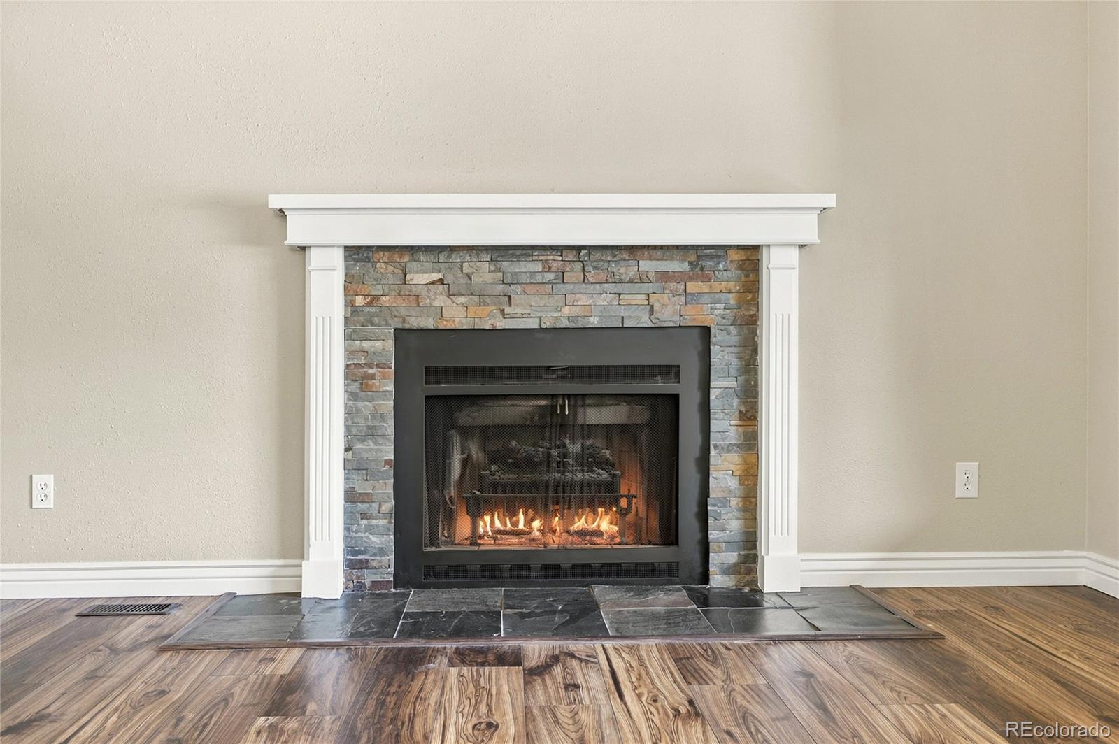 MLS Image #10 for 8569  angela lane,parker, Colorado