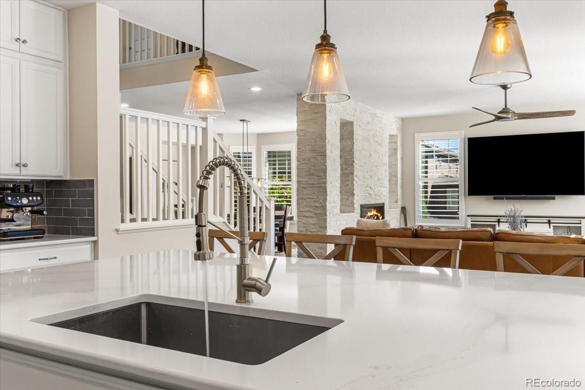 MLS Image #11 for 15934  burrowing owl court,morrison, Colorado