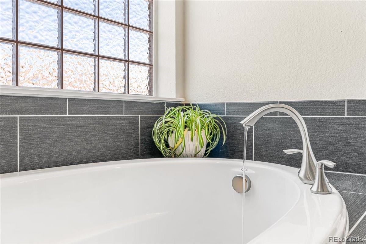 MLS Image #20 for 15934  burrowing owl court,morrison, Colorado