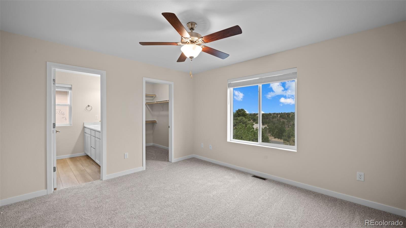 MLS Image #10 for 3525  rosette grove,colorado springs, Colorado