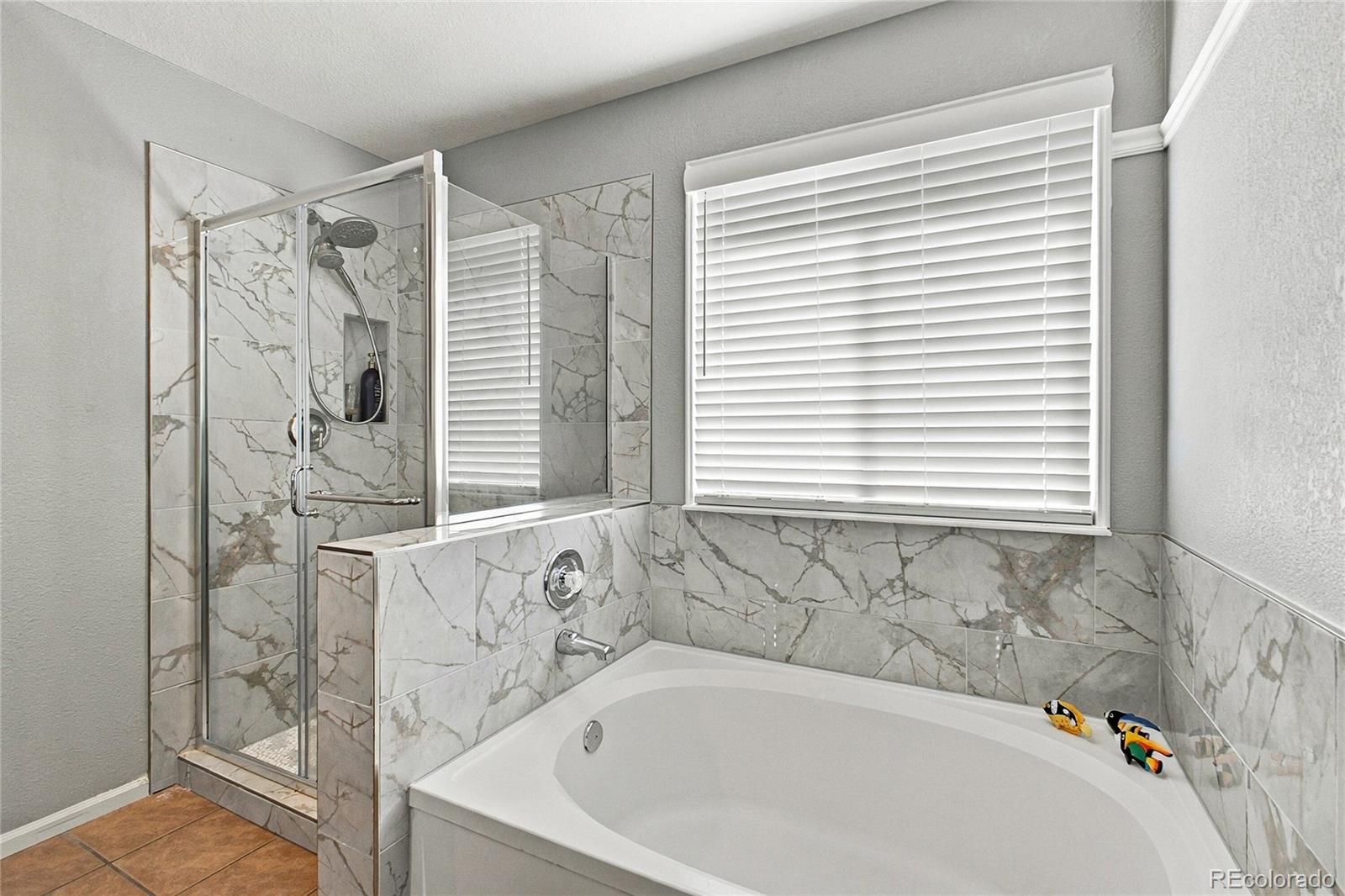 MLS Image #18 for 736  fairhaven street,castle rock, Colorado