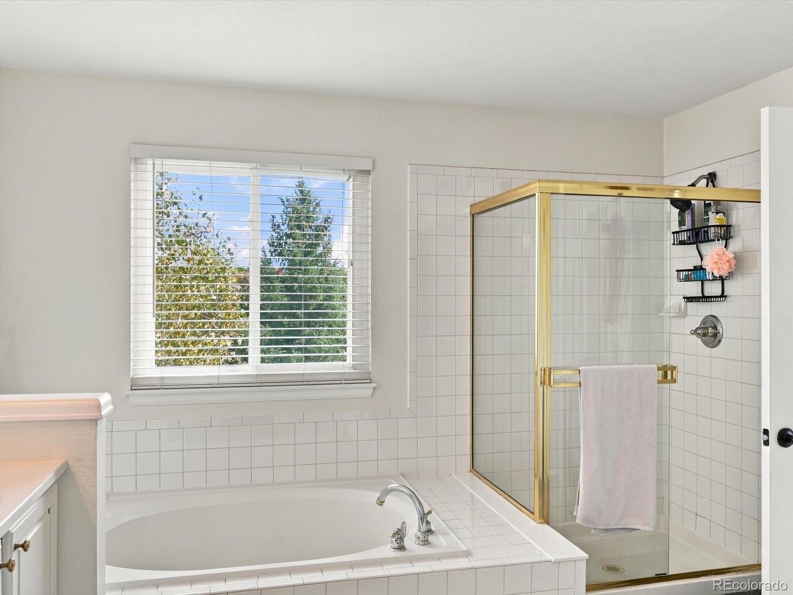 MLS Image #31 for 7478  exeter place,castle pines, Colorado
