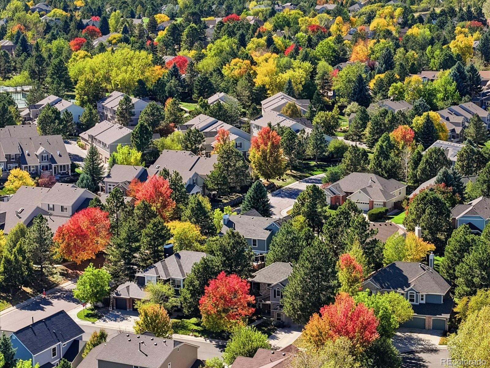 MLS Image #47 for 7478  exeter place,castle pines, Colorado