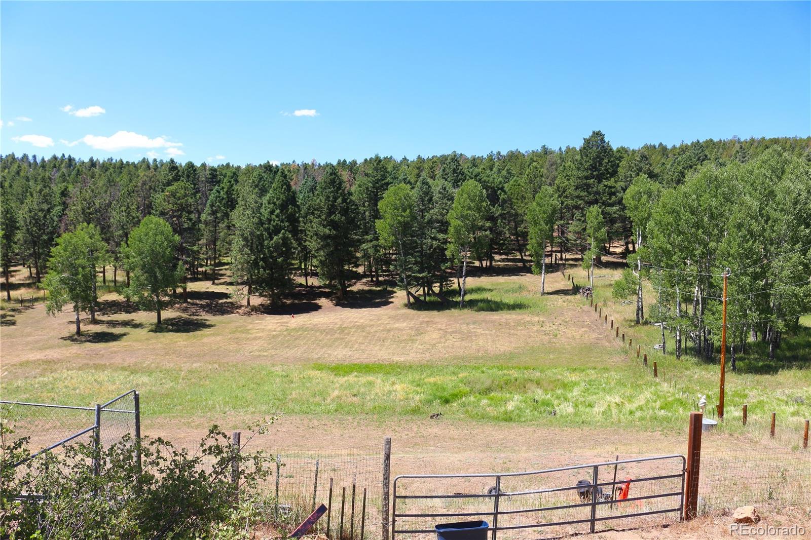 MLS Image #13 for 26115  amy circle,conifer, Colorado
