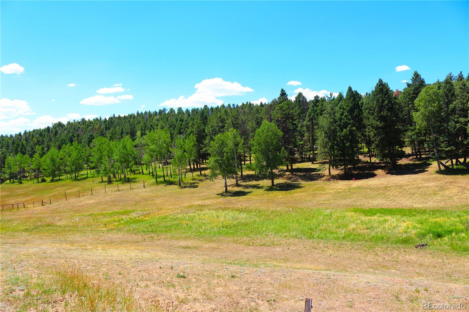 MLS Image #14 for 26115  amy circle,conifer, Colorado