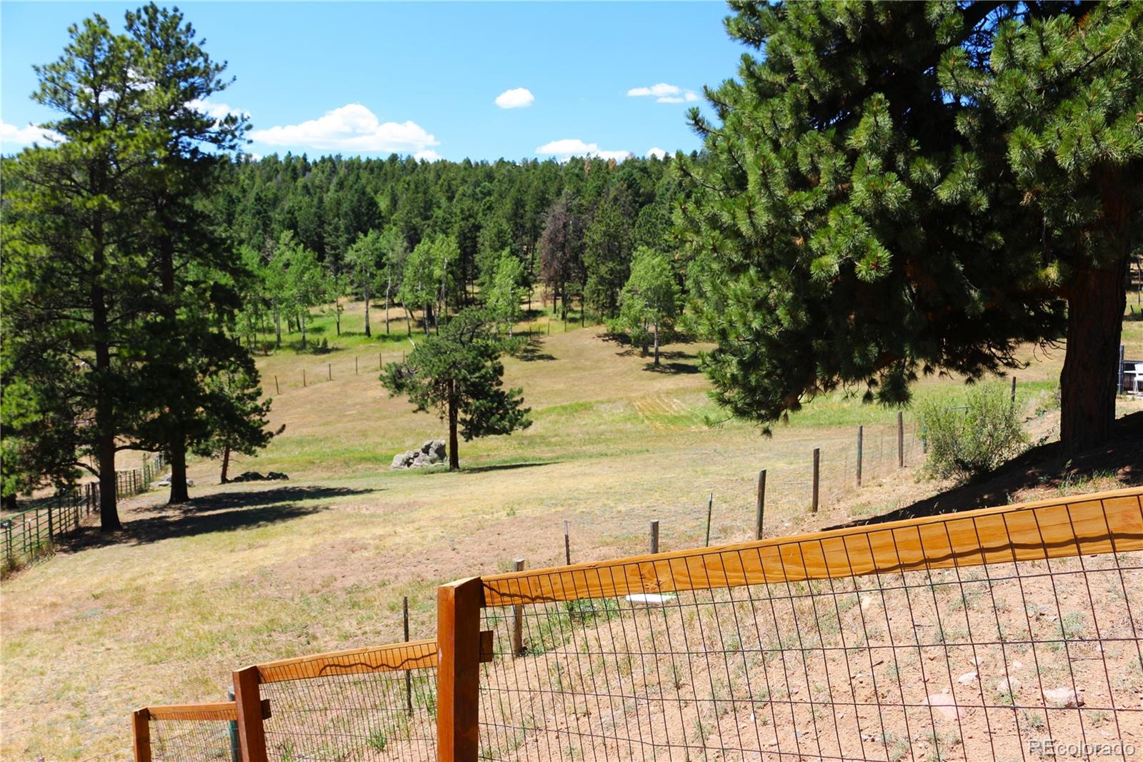 MLS Image #20 for 26115  amy circle,conifer, Colorado