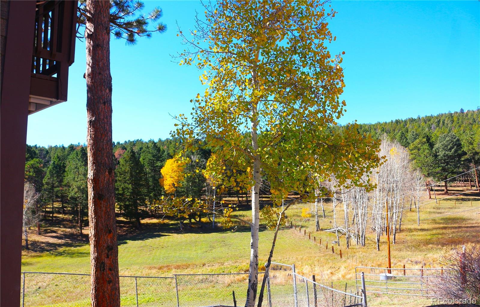MLS Image #22 for 26115  amy circle,conifer, Colorado