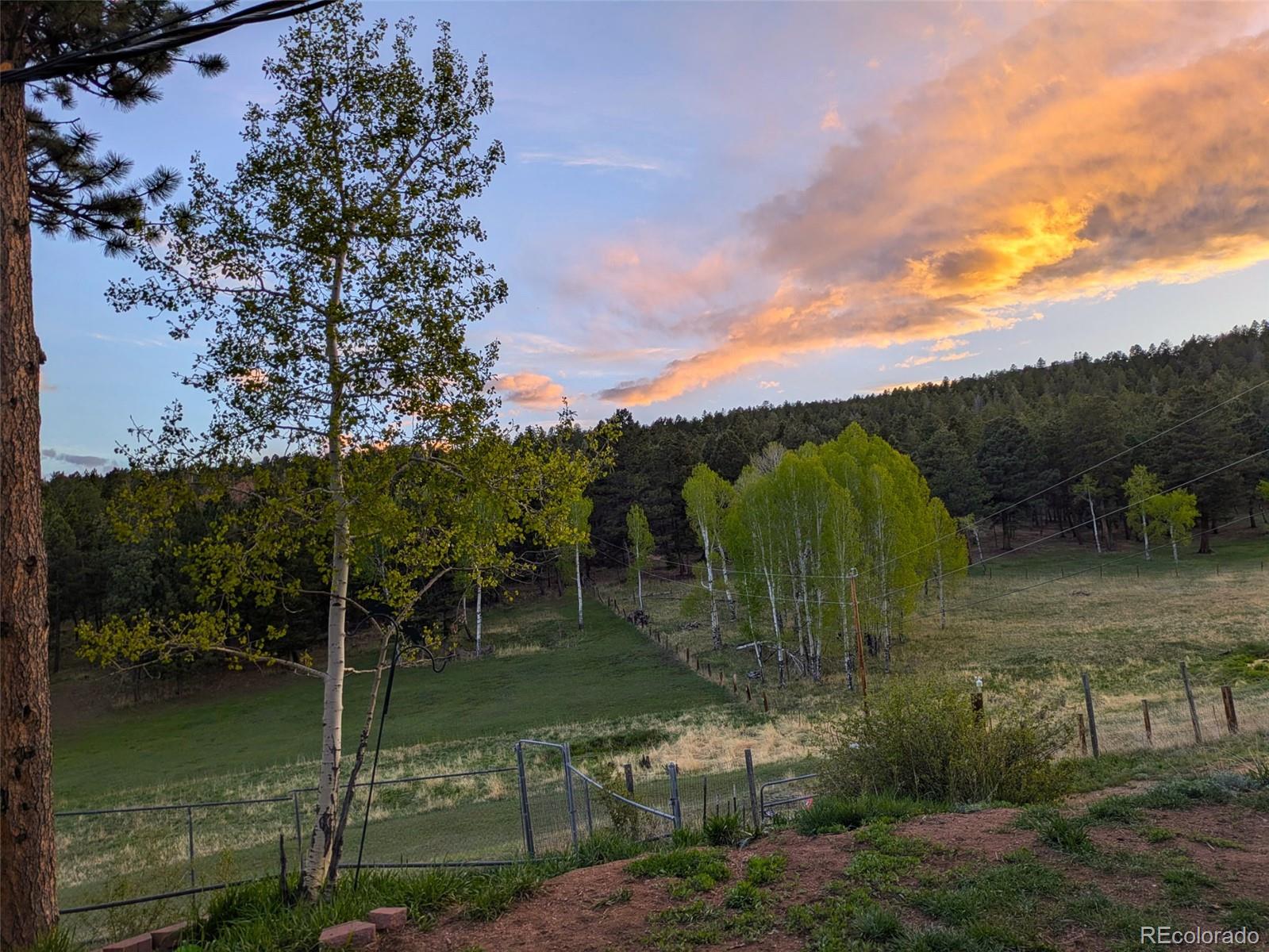 MLS Image #23 for 26115  amy circle,conifer, Colorado