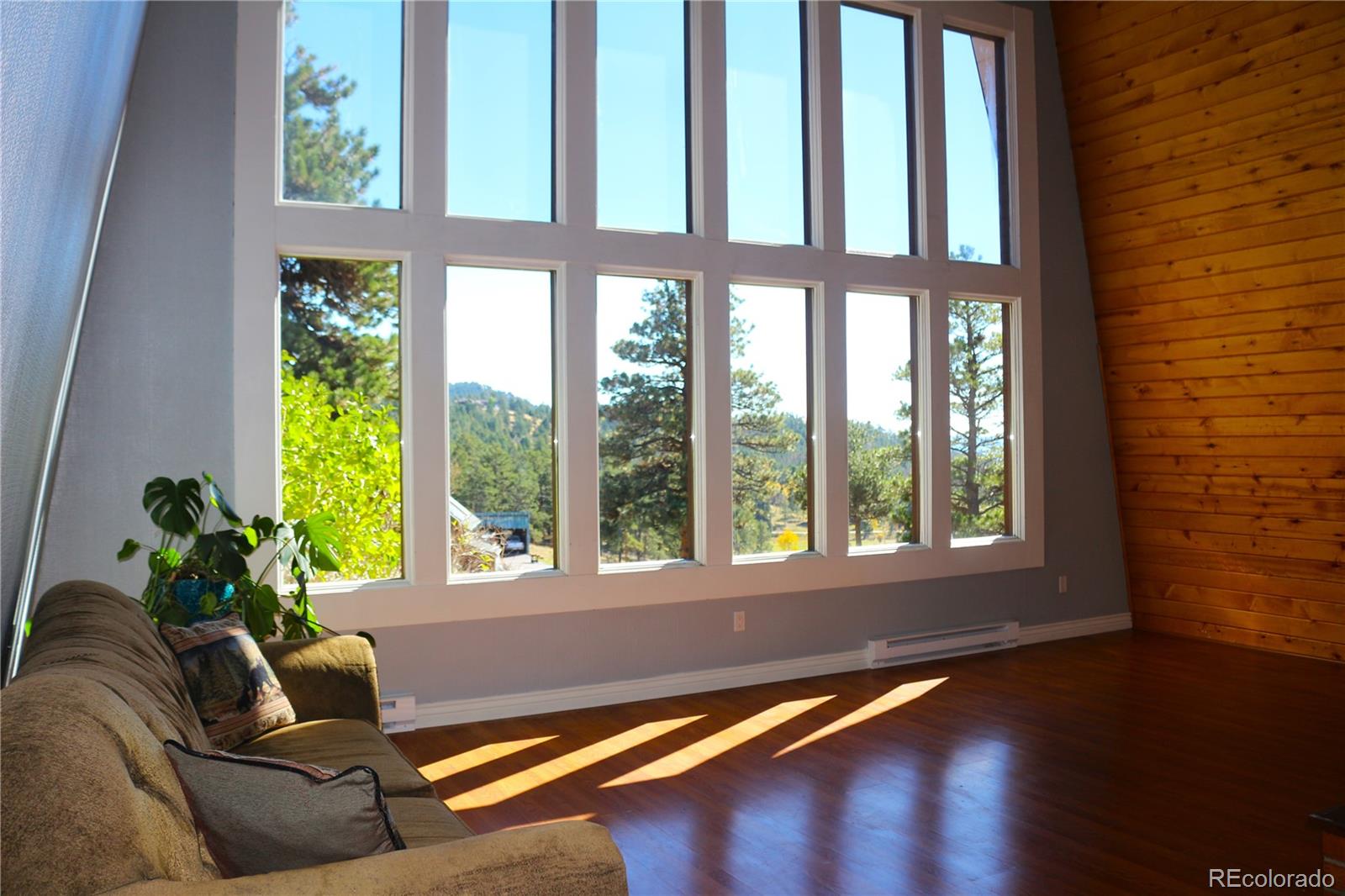 MLS Image #4 for 26115  amy circle,conifer, Colorado
