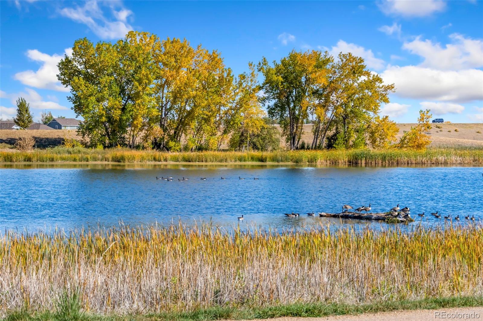 MLS Image #30 for 2243  breckenridge drive,berthoud, Colorado