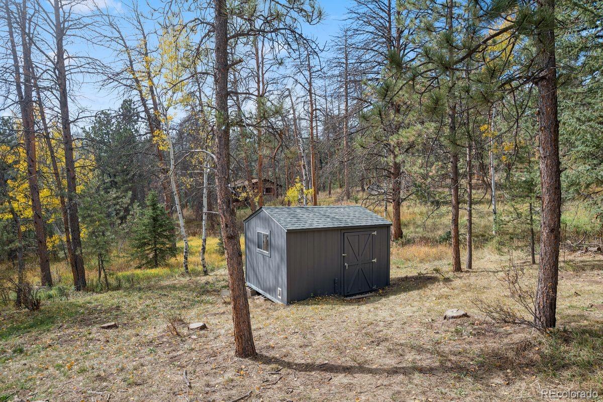 MLS Image #31 for 10291  blue sky trail,conifer, Colorado