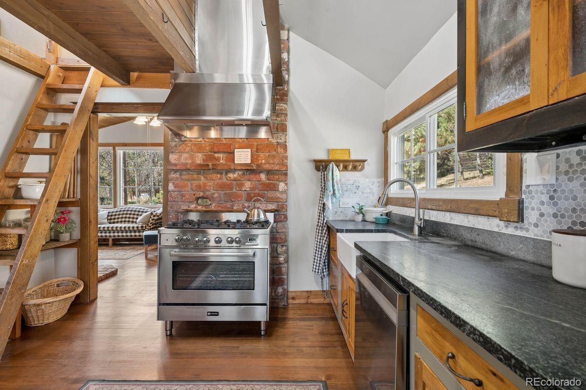MLS Image #8 for 10291  blue sky trail,conifer, Colorado