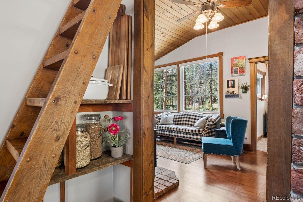 MLS Image #9 for 10291  blue sky trail,conifer, Colorado